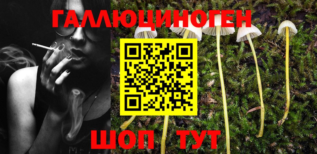 Ленинск-Кузнецкий  Галлюциногенные грибы Magic Shrooms  Вход с VPN 